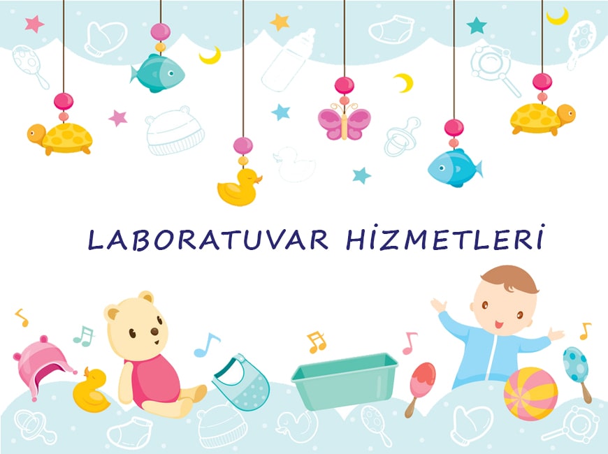 Laboratuvar Hizmetleri